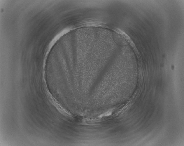 X0000081431427200702021641