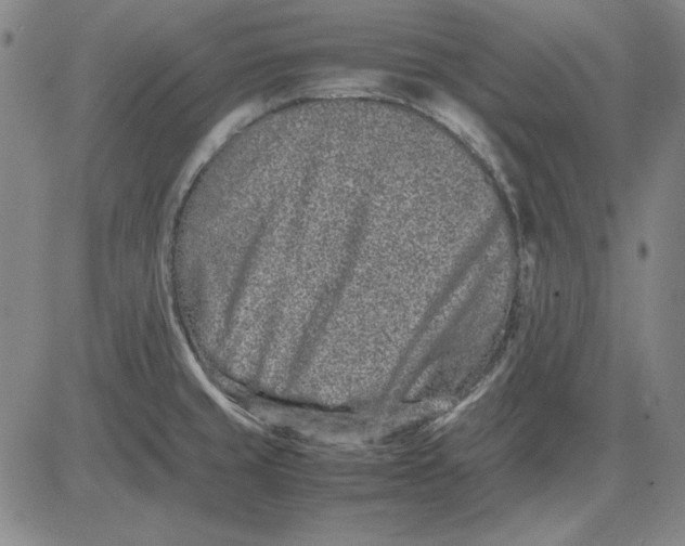 X0000081431429200702021641