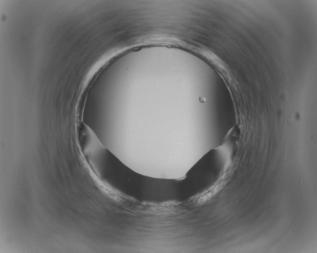 X0000081431430200702021641