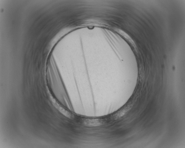 X0000081431431200702021641