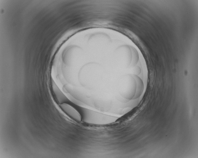 X0000081431432200702021641