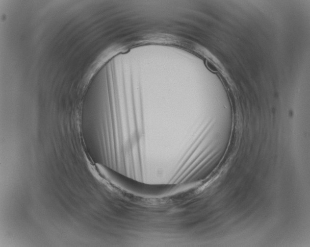 X0000081431433200702021641