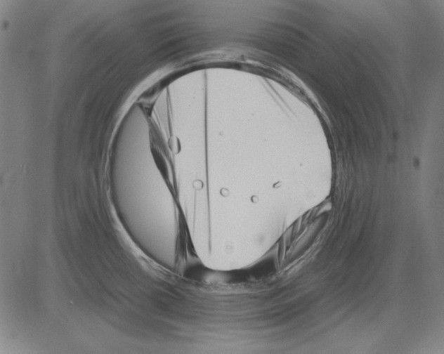 X0000081431434200702021641