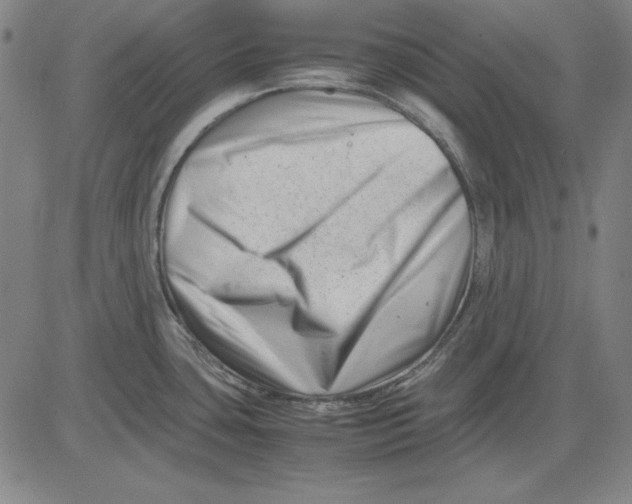 X0000081431435200702021641