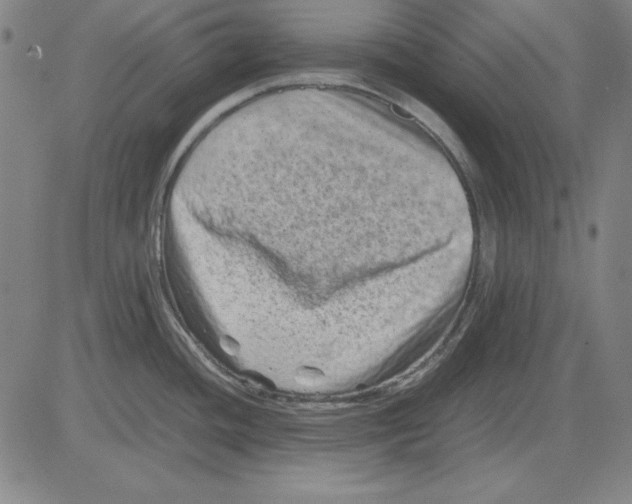 X0000081431436200702021641