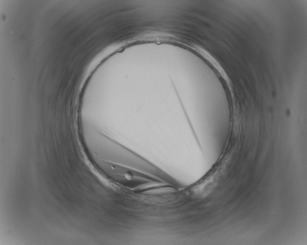 X0000081431437200702021641