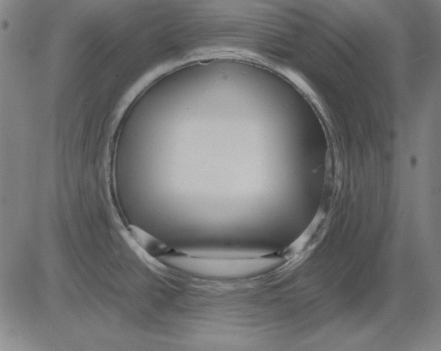 X0000081431438200702021641