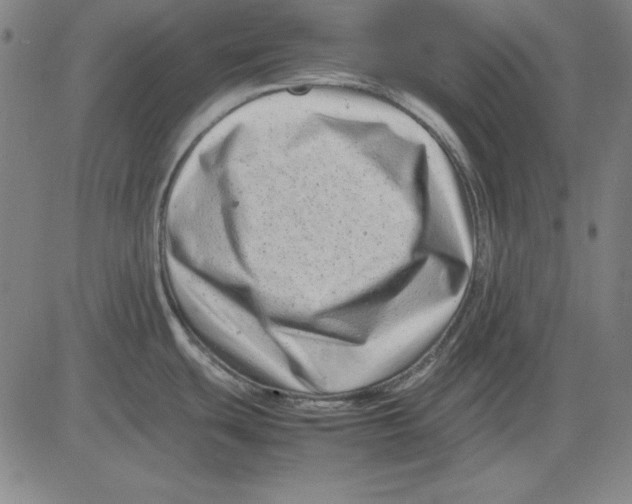 X0000081431439200702021641