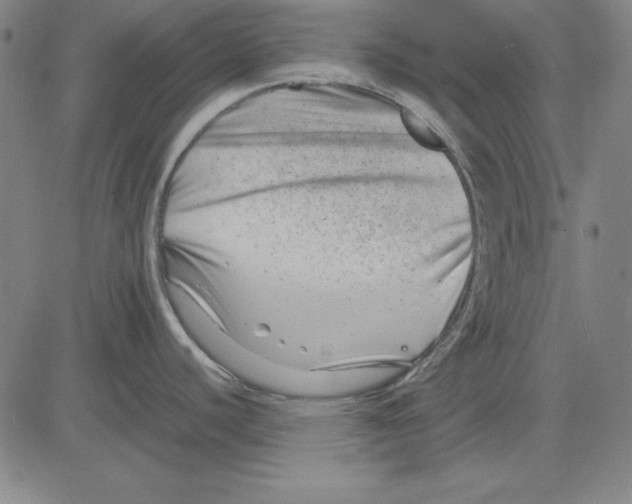 X0000081431440200702021641