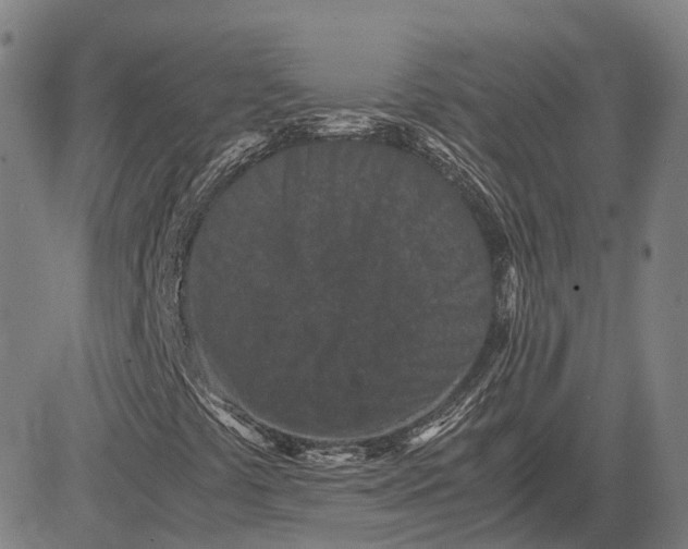 X0000081431441200702021640