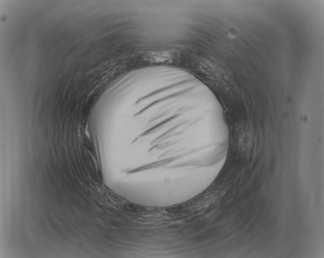 X0000081431442200702021640