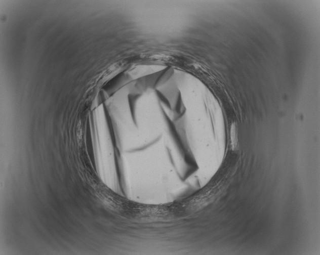 X0000081431443200702021640