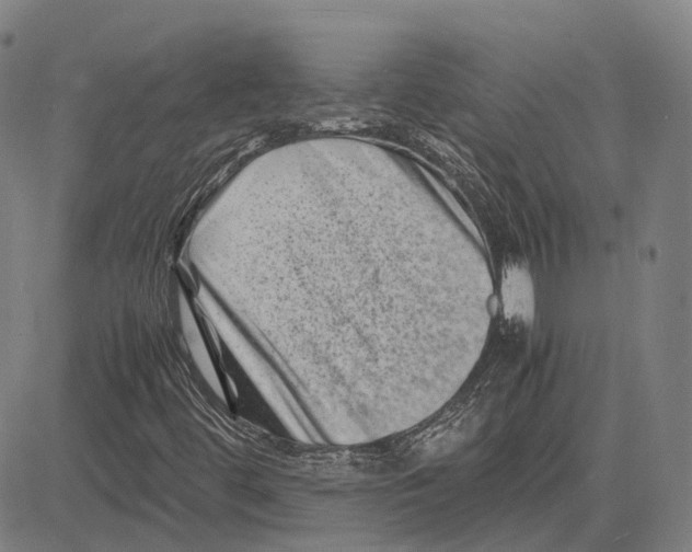 X0000081431444200702021640