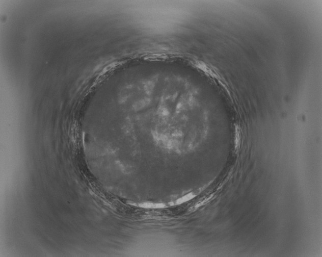 X0000081431445200702021640