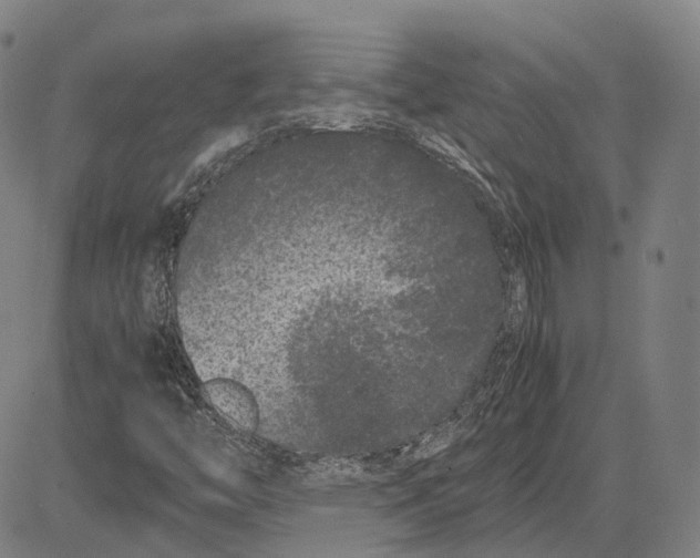 X0000081431446200702021640