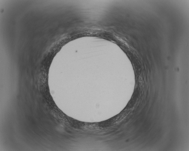 X0000081431447200702021640