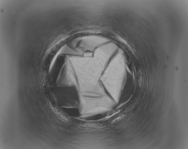 X0000081431448200702021640