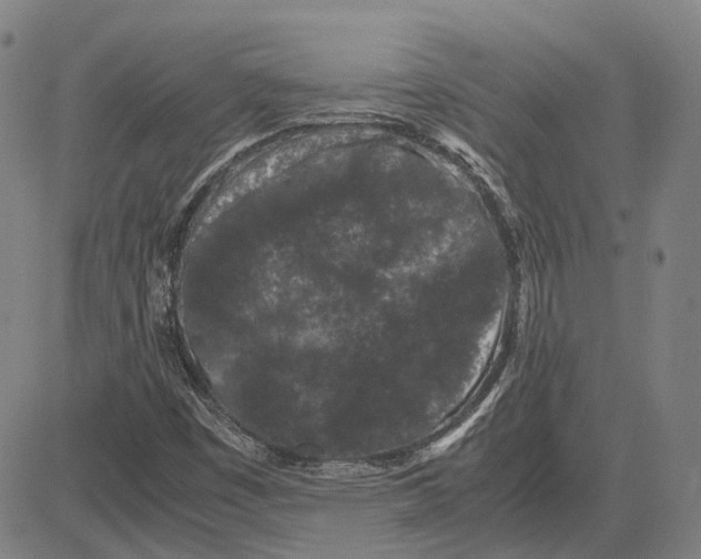 X0000081431449200702021640