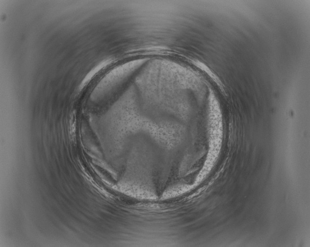 X0000081431450200702021640