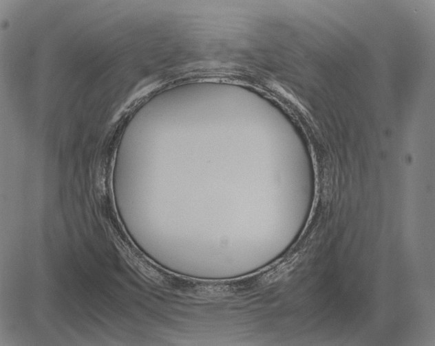 X0000081431451200702021640