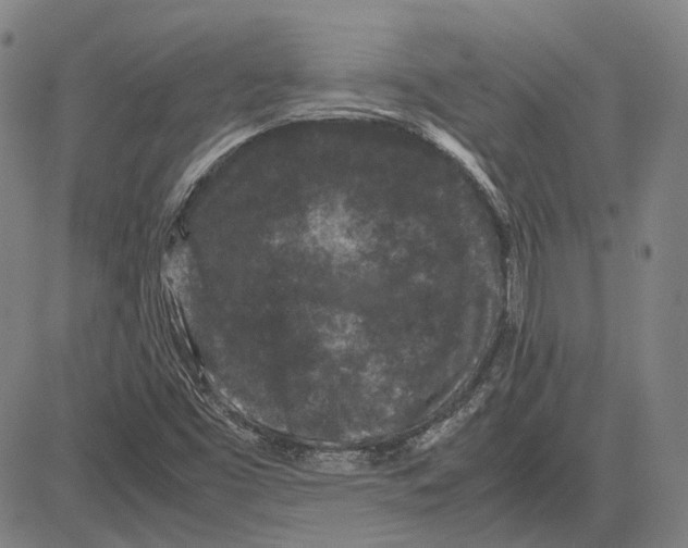 X0000081431453200702021640