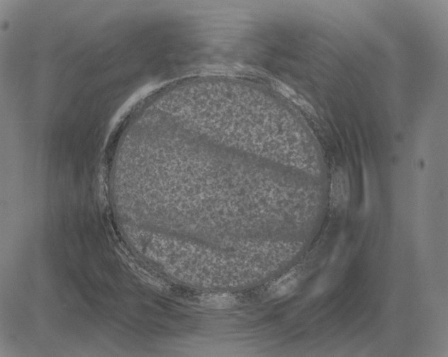 X0000081431454200702021640