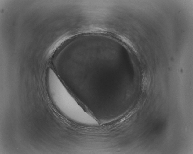 X0000081431455200702021640