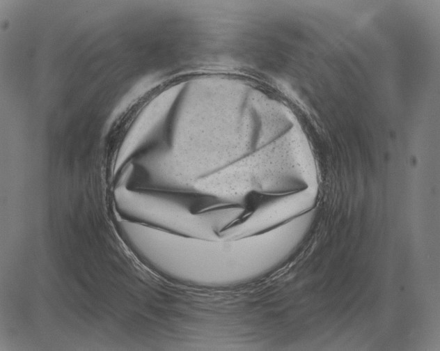 X0000081431456200702021640