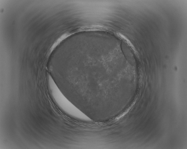 X0000081431457200702021640