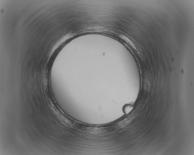 X0000081431458200702021640