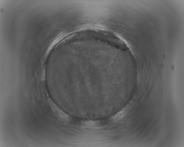 X0000081431459200702021640