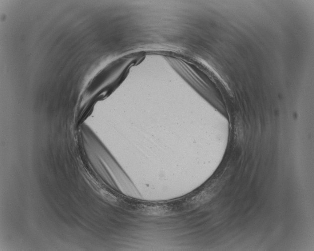 X0000081431460200702021640