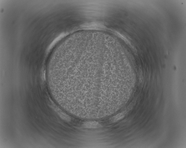 X0000081431462200702021640