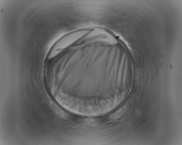 X0000081431463200702021640