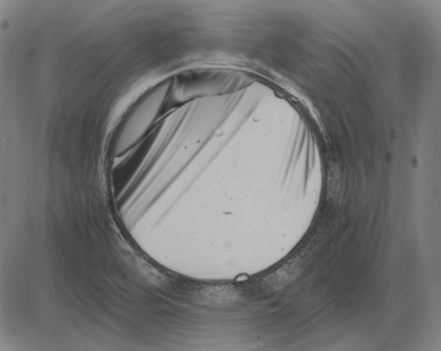 X0000081431464200702021640