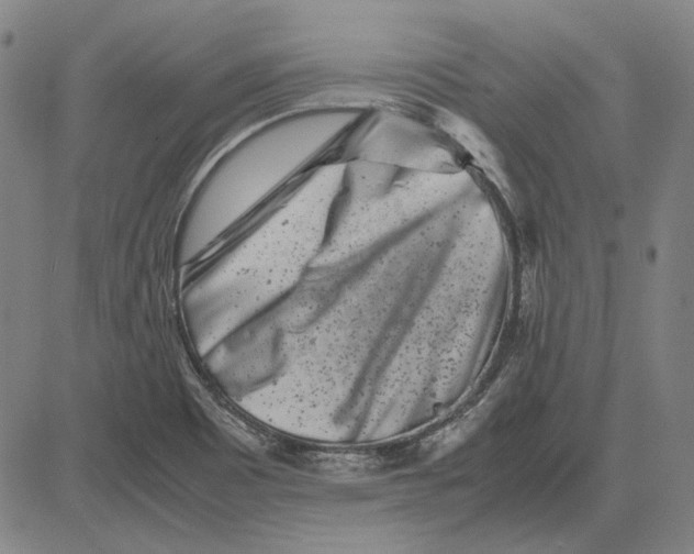 X0000081431465200702021640