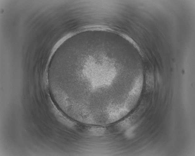 X0000081431466200702021640