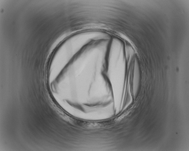 X0000081431467200702021640