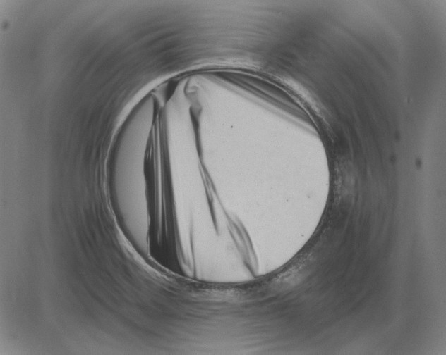 X0000081431468200702021640