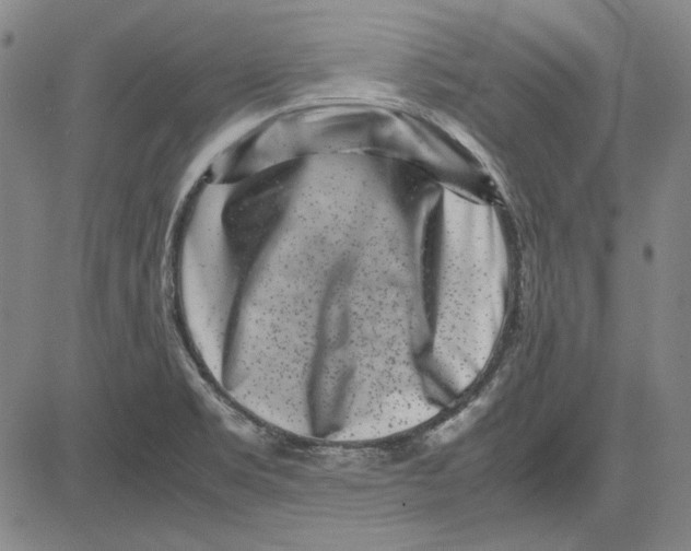 X0000081431469200702021640