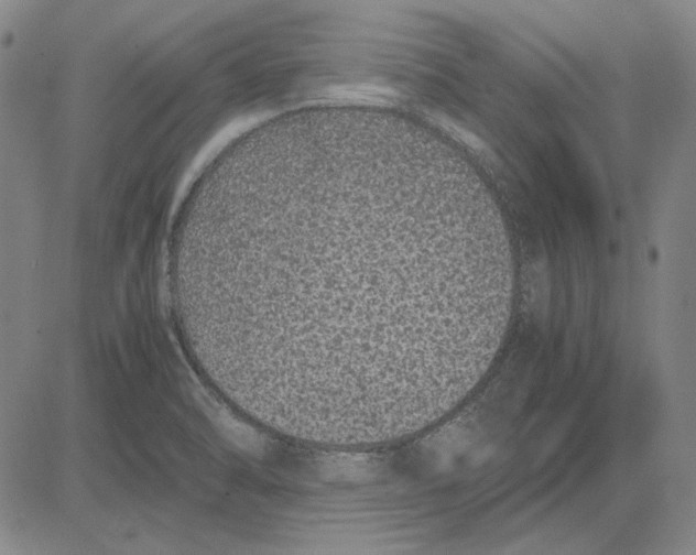 X0000081431470200702021640