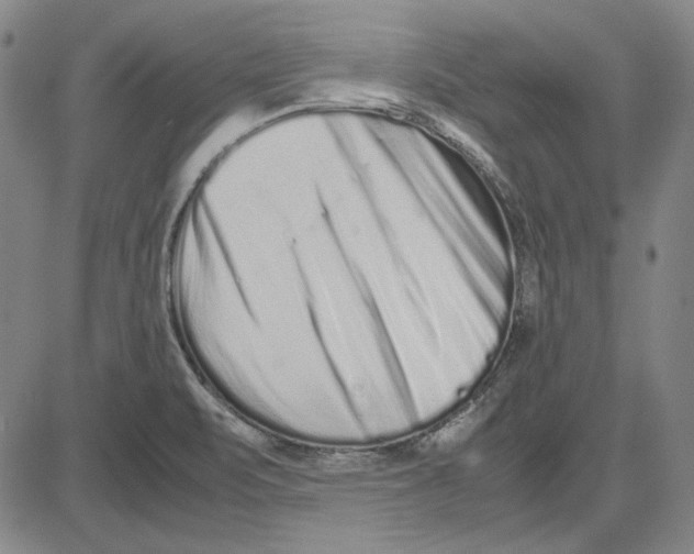 X0000081431471200702021640