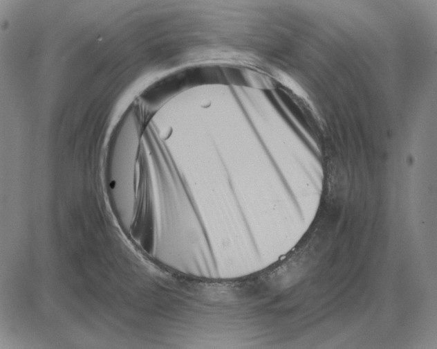 X0000081431472200702021640