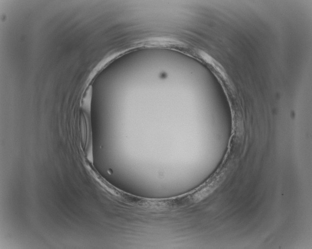 X0000081431473200702021640