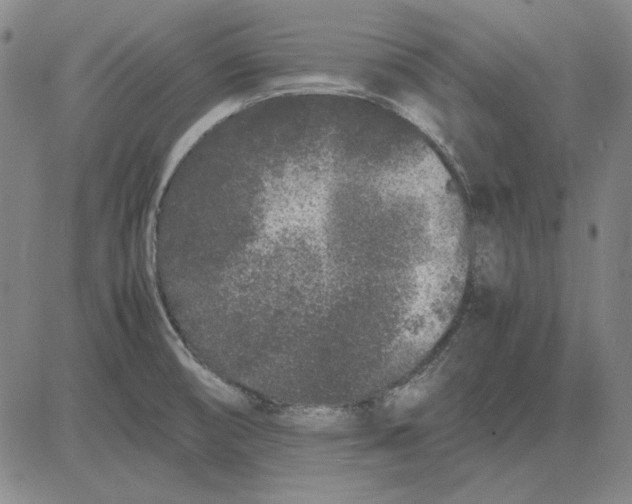 X0000081431474200702021640