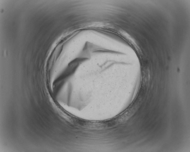 X0000081431475200702021640