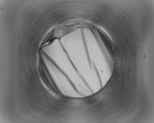 X0000081431476200702021640