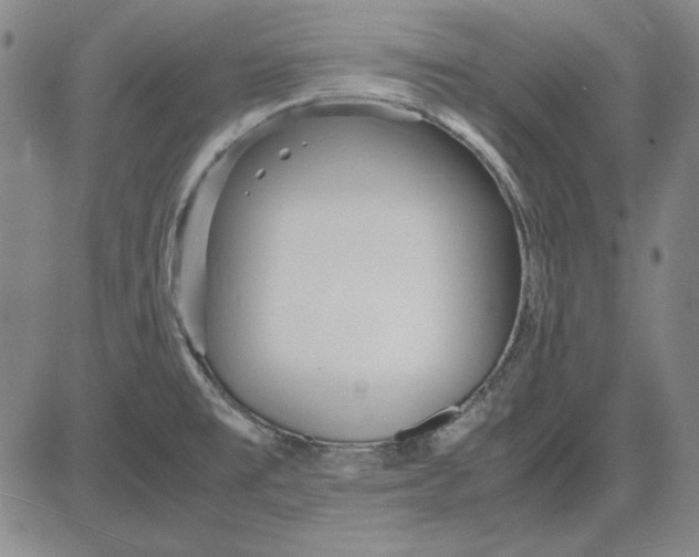 X0000081431477200702021640