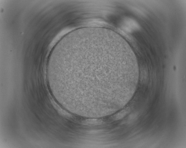 X0000081431478200702021640