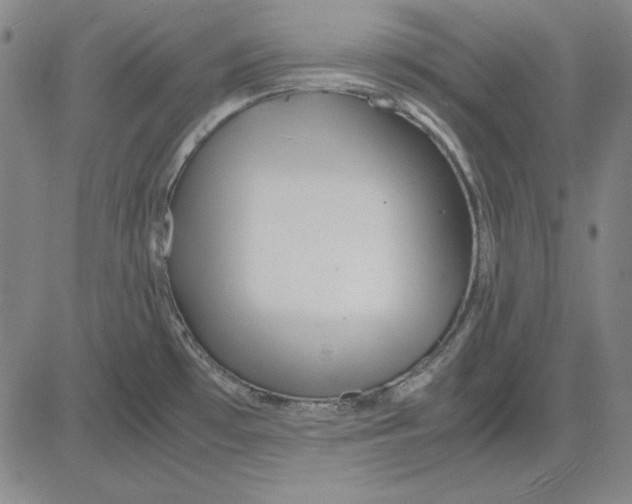 X0000081431481200702021640